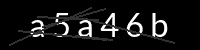 PHP Captcha for Piwigo