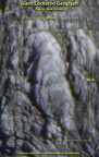 Colossal Cockatoo of Papua New Guinee